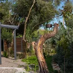 Uliveto Tatil Evi *