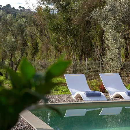 Uliveto Casa vacanze *
