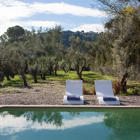 Uliveto Casa vacanze