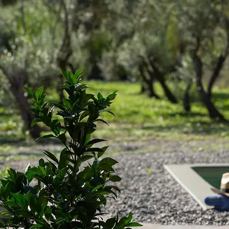 Casa vacanze Uliveto