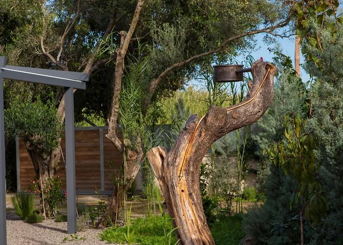 Uliveto Prázdninový dům *