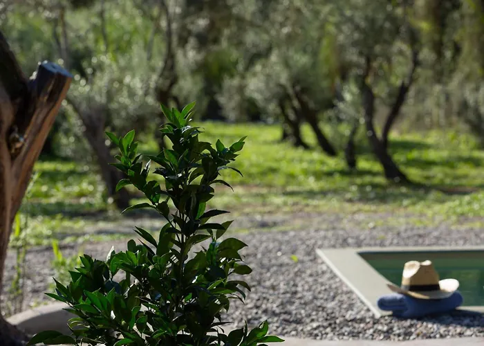 Prázdninový dům Uliveto